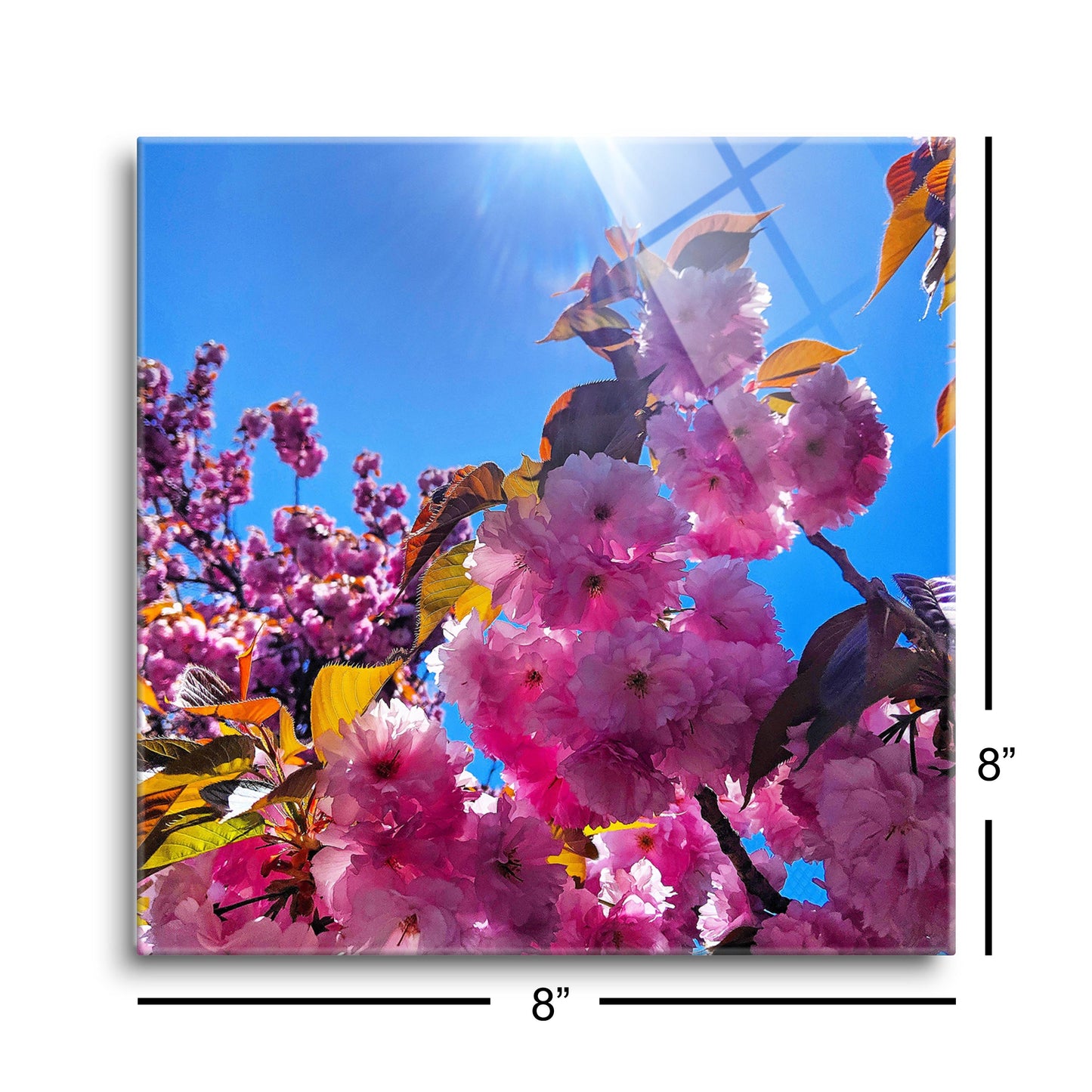 Monokian Cherry Blossoms | Hi-Def Glass Art | Eaches | Min 2