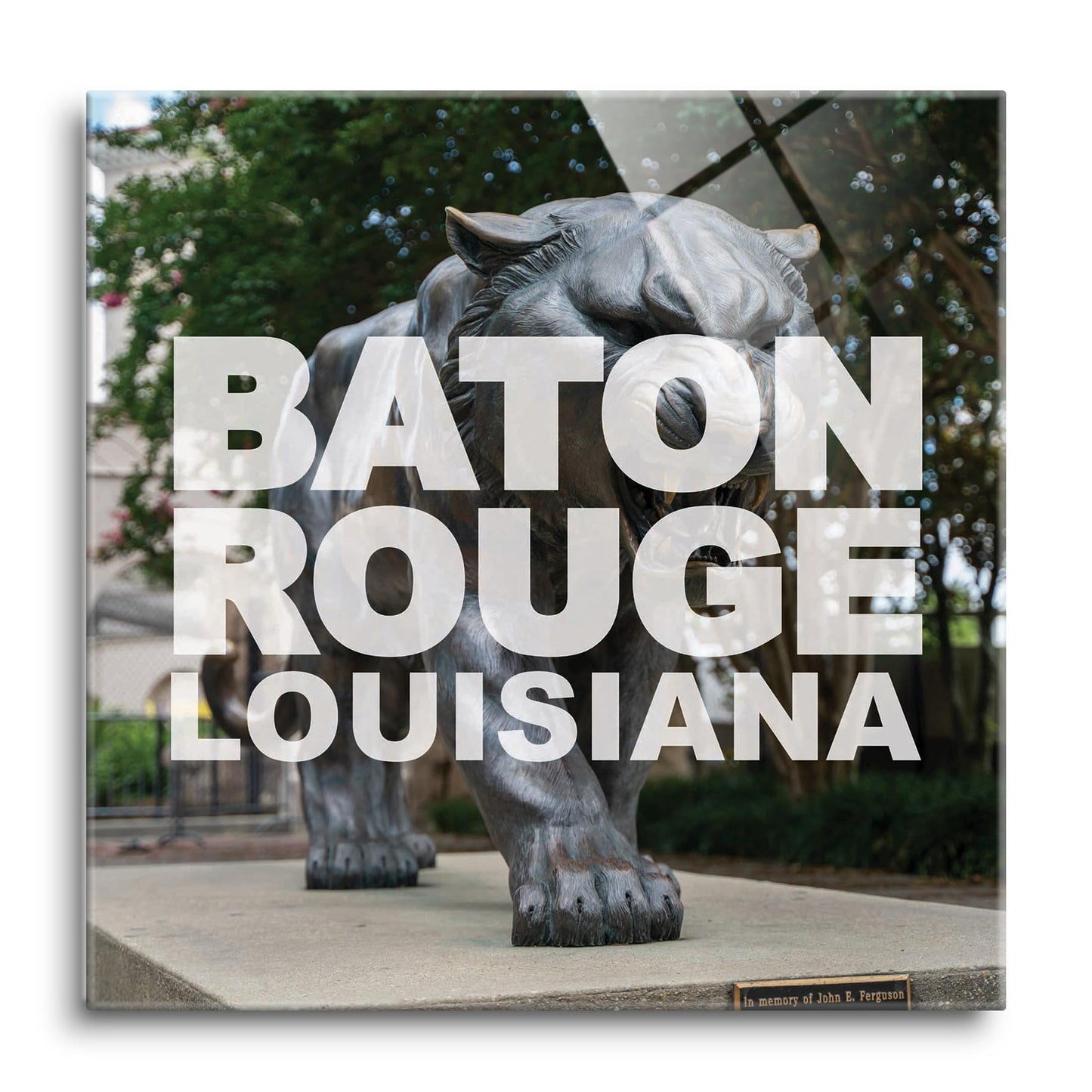 Baton Rouge Louisiana Photo | Hi-Def Glass Art | Eaches | Min 1