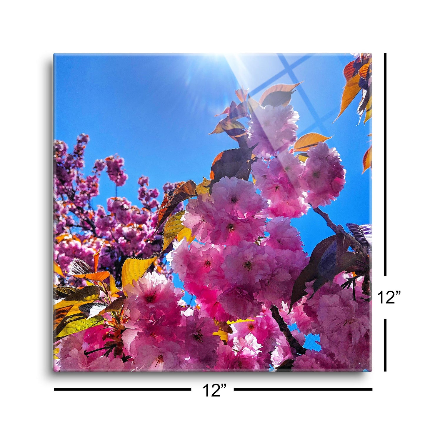 Monokian Cherry Blossoms | Hi-Def Glass Art | Eaches | Min 1
