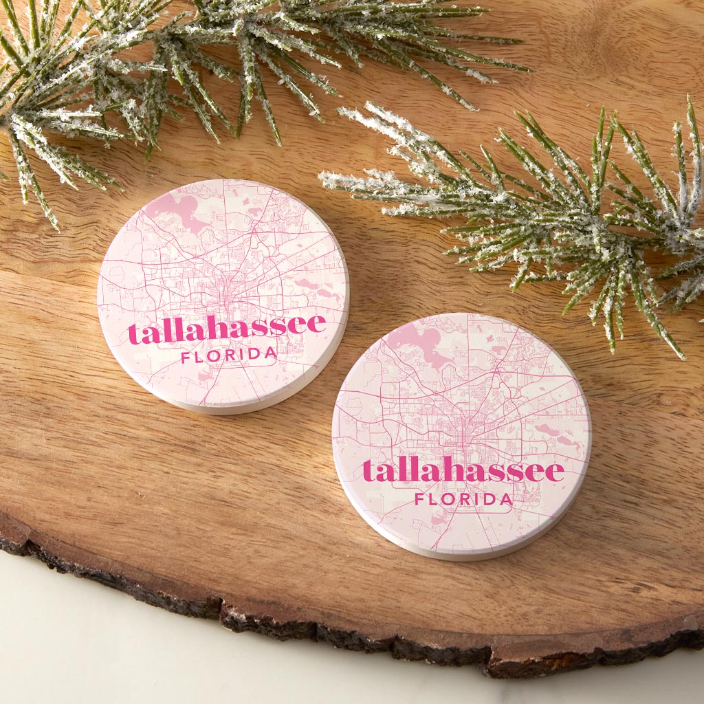 Bright Modern Pink Map Florida Tallahassee | Absorbent Car Coasters | Set of 2 | Min 4