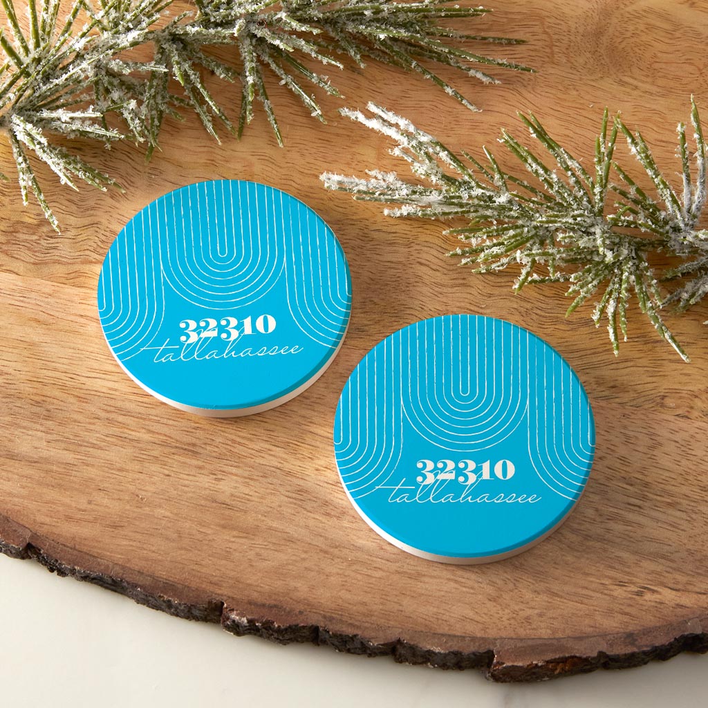 Bright Modern City Zip On Teal Florida Tallahassee | Absorbent Car Coasters | Set of 2 | Min 4