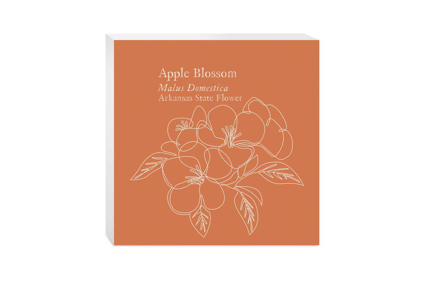 Modern Minimalist Arkansas Single Line Apple Blossoms | Wood Block | Eaches | Min 2