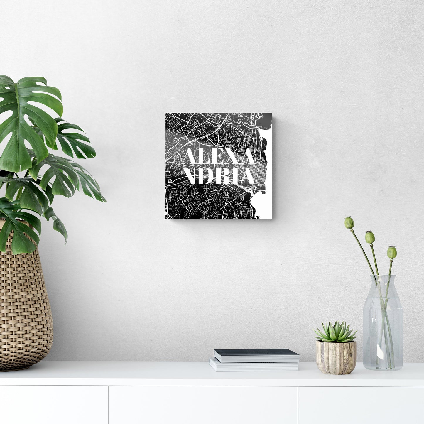 Minimalistic B&W Virginia Alexandria Map | Hi-Def Glass Art | Eaches | Min 1