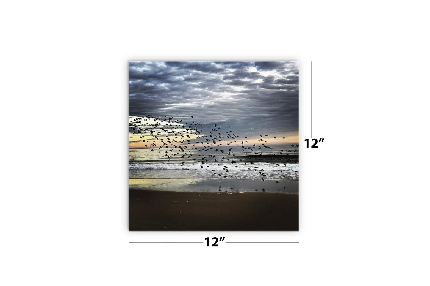 OCNJ Photo | Wood Sign | Eaches | Min 2