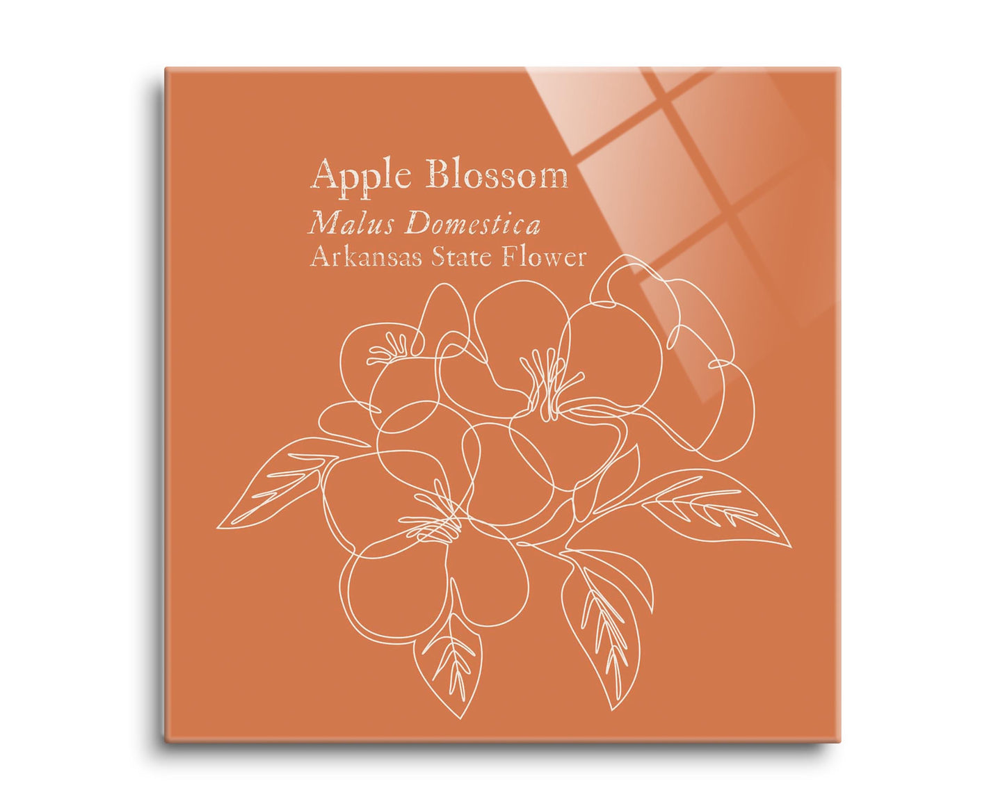 Modern Minimalist Arkansas Single Line Apple Blossoms | Hi-Def Glass Art | Eaches | Min 2