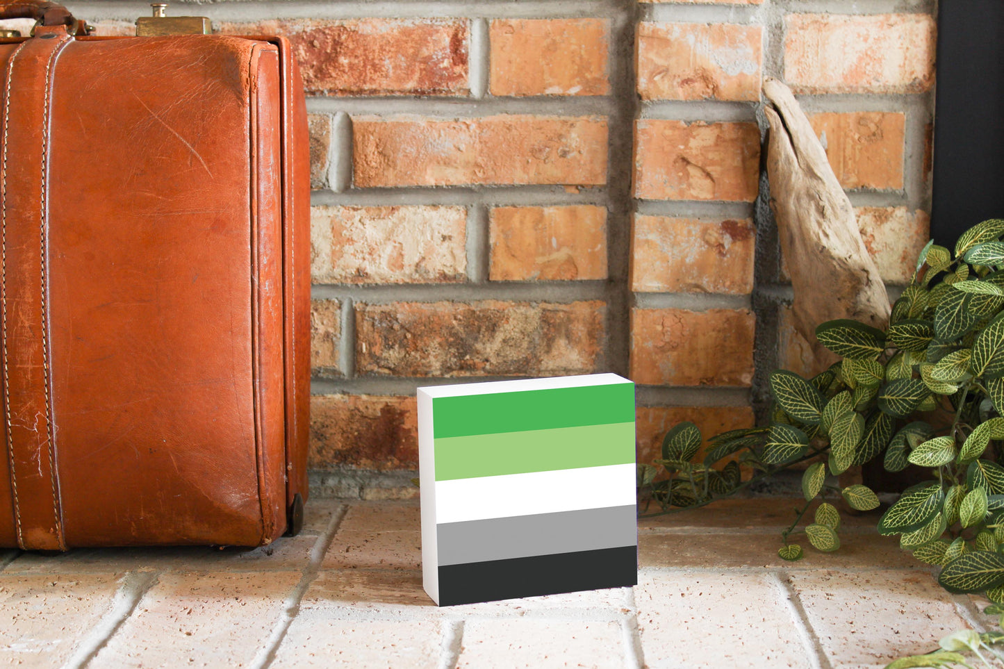 Aromantic Pride Flag Colors | Wood Block | Eaches | Min 4
