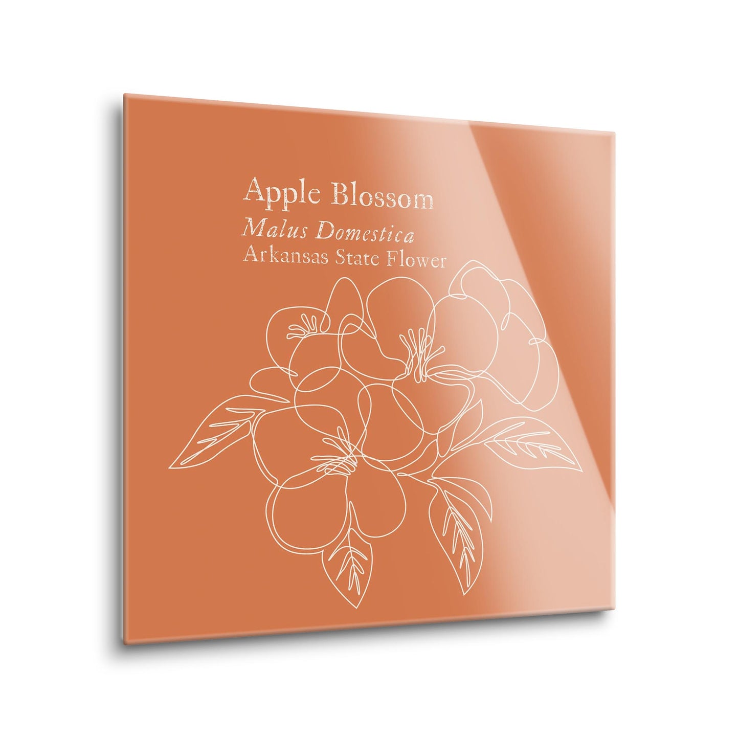 Modern Minimalist Arkansas Single Line Apple Blossoms | Hi-Def Glass Art | Eaches | Min 1