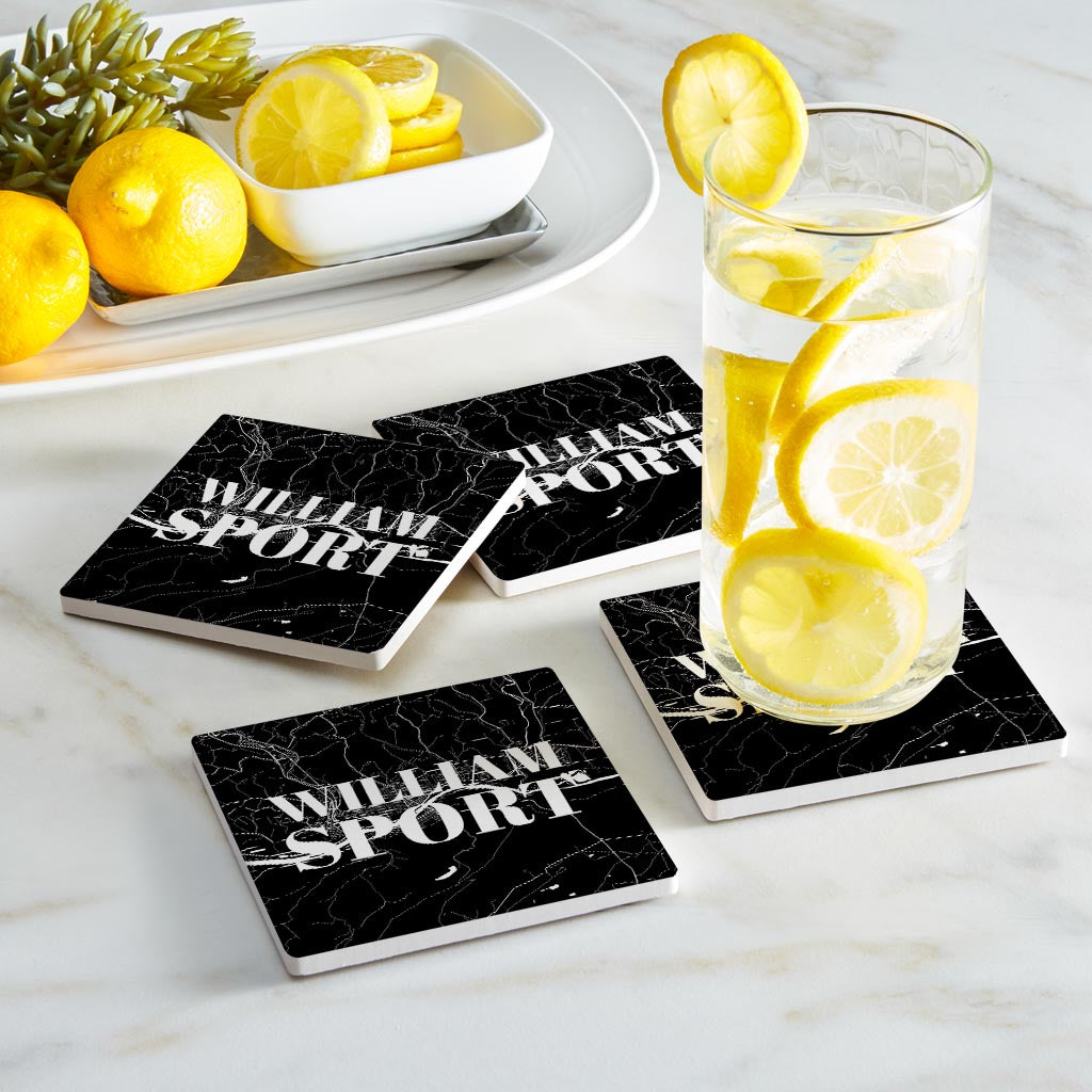 Minimalistic B&W Pennsylvania Williamsport Map | Absorbent Coasters | Set of 4 | Min 2