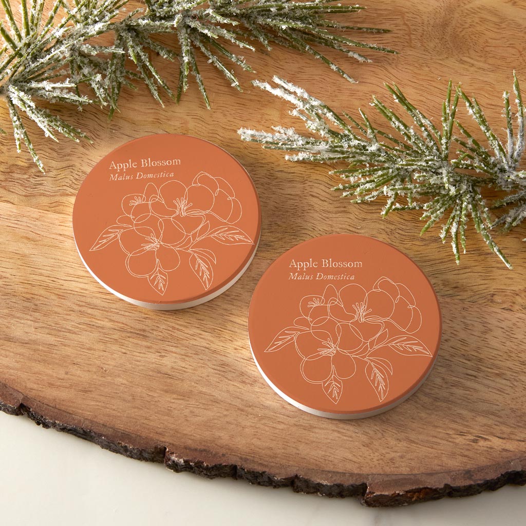 Modern Minimalist Ar Single Line Apple Blossoms| Absorbent Car Coasters | Set of 2 | Min 4