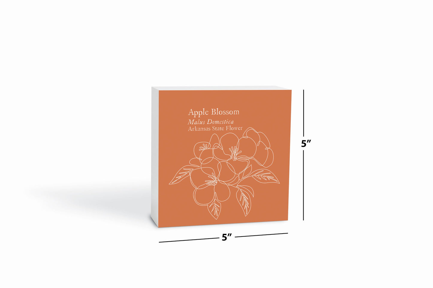 Modern Minimalist Arkansas Single Line Apple Blossoms | Wood Block | Eaches | Min 4