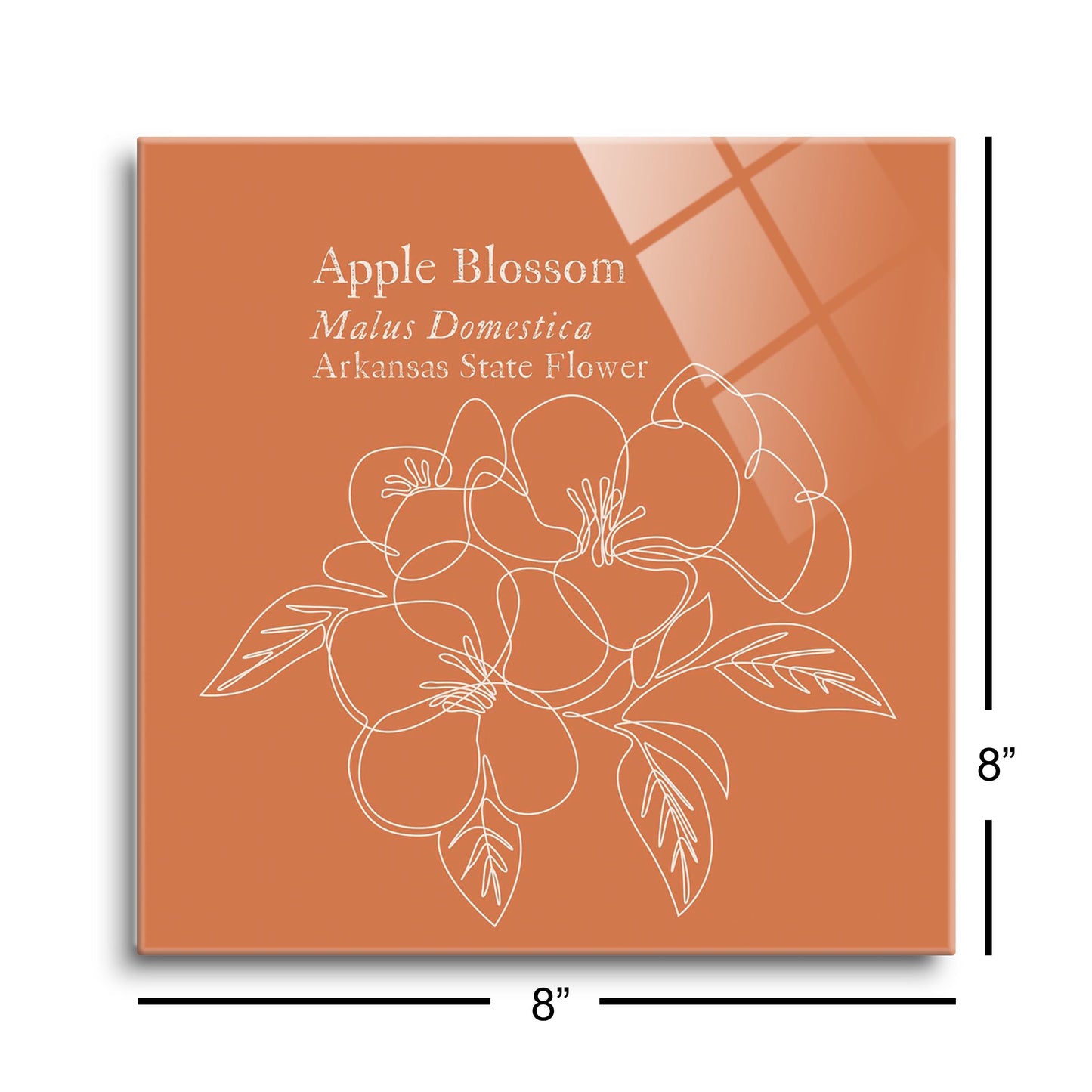 Modern Minimalist Arkansas Single Line Apple Blossoms | Hi-Def Glass Art | Eaches | Min 2