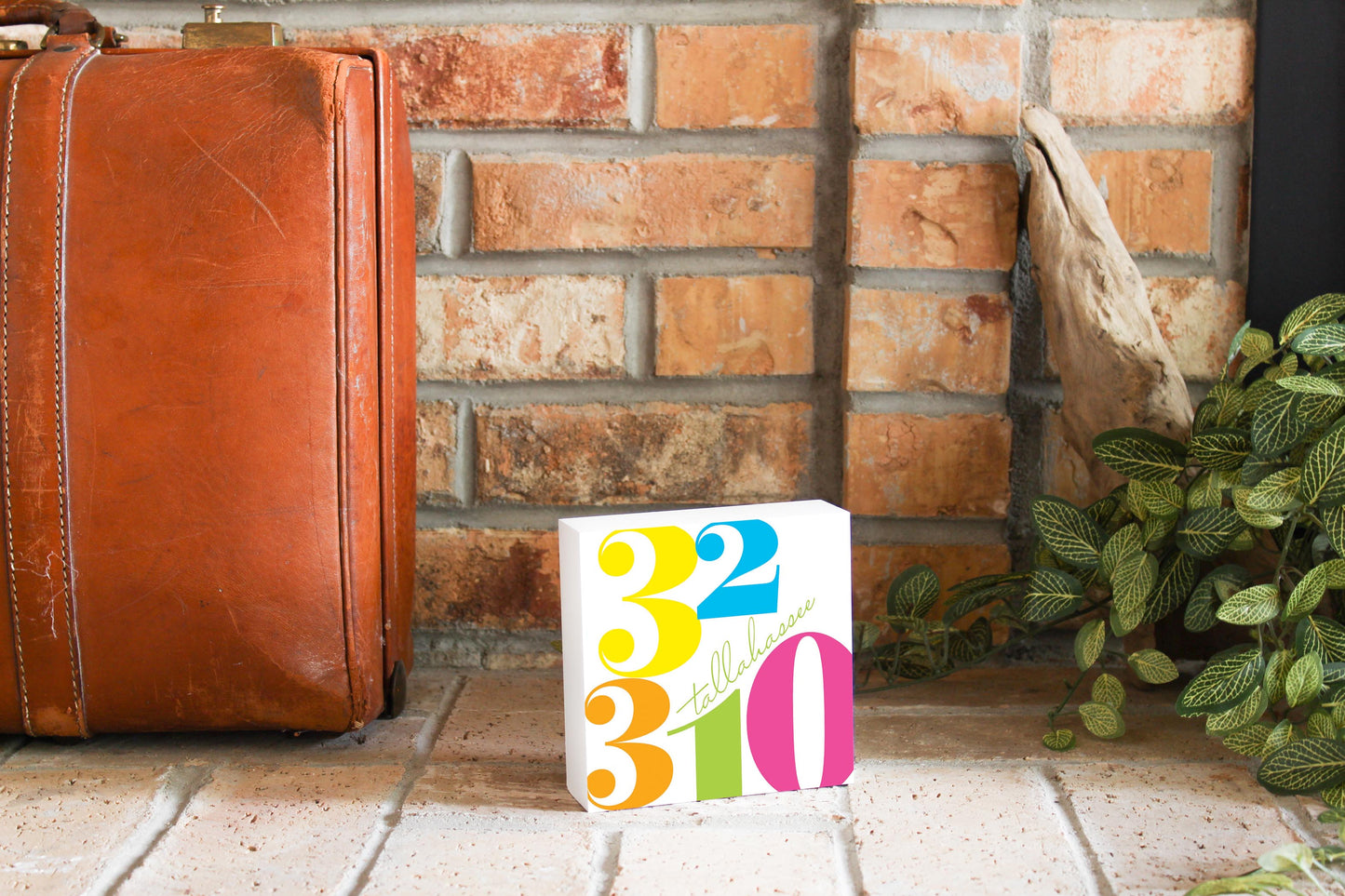Bright Modern Color Block City Zip Florida Tallahassee | Wood Block | Eaches | Min 4
