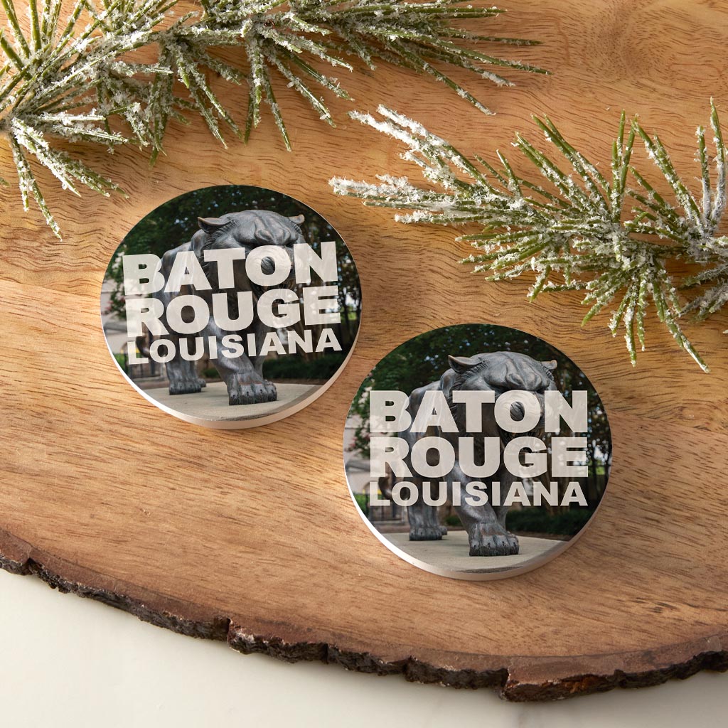 Baton Rouge Louisiana Photo | Absorbent Car Coasters | Set of 2 | Min 4