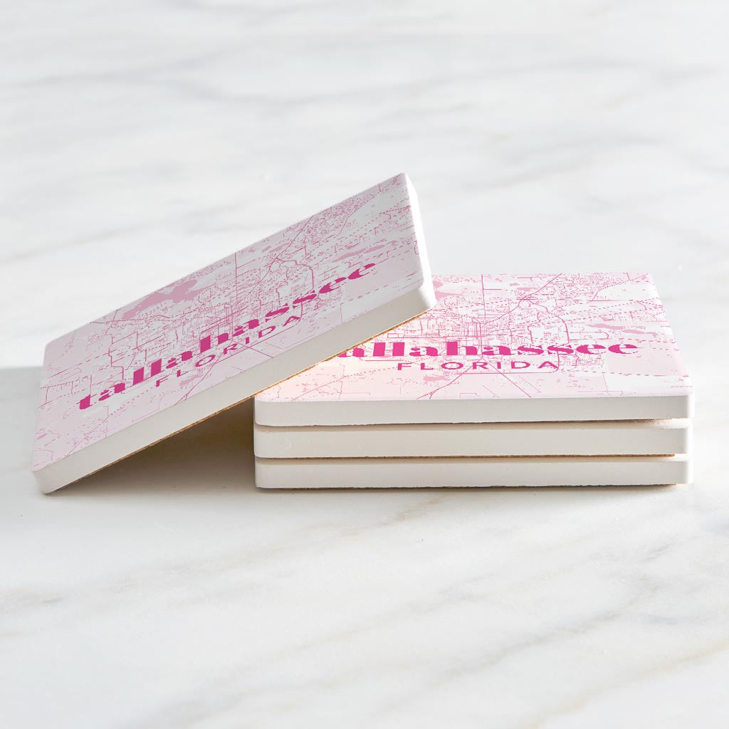 Bright Modern Pink Map Florida Tallahassee | Absorbent Coasters | Set of 4 | Min 2