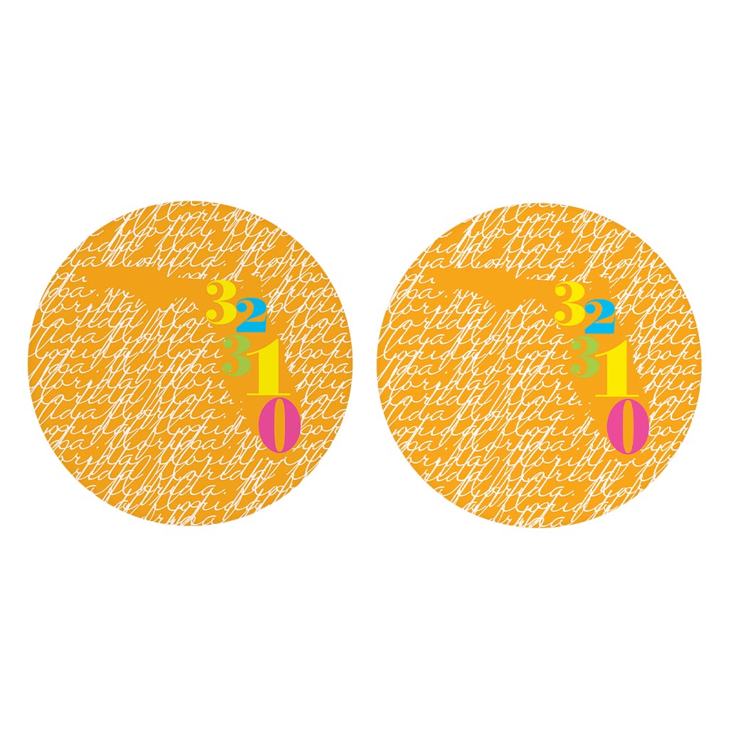 Bright Modern State Script Orange Florida Tallahassee | Absorbent Car Coasters | Set of 2 | Min 4