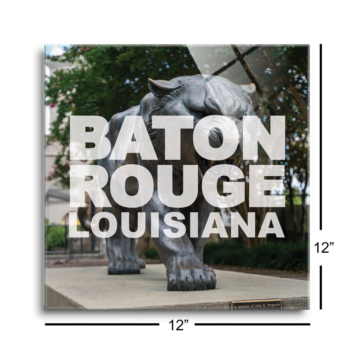Baton Rouge Louisiana Photo | Hi-Def Glass Art | Eaches | Min 1