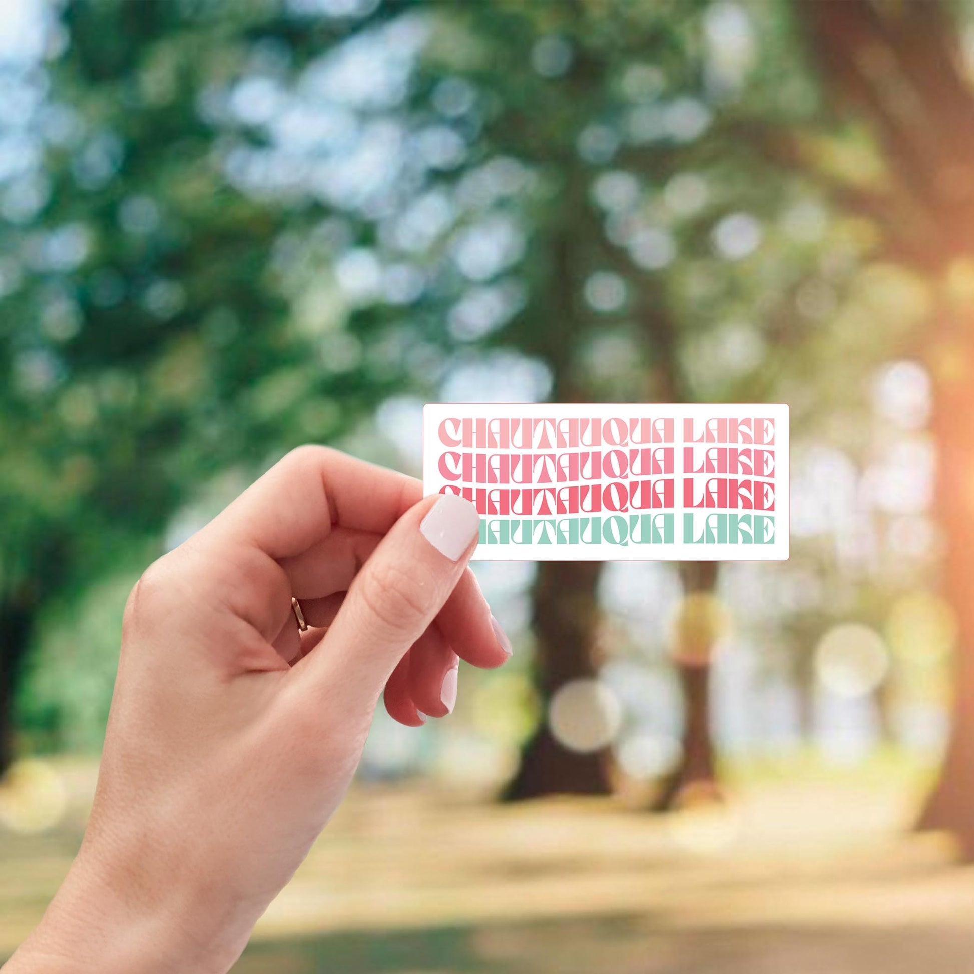 Vinyl Sticker-Retro Wave Chautauqua Lake -2