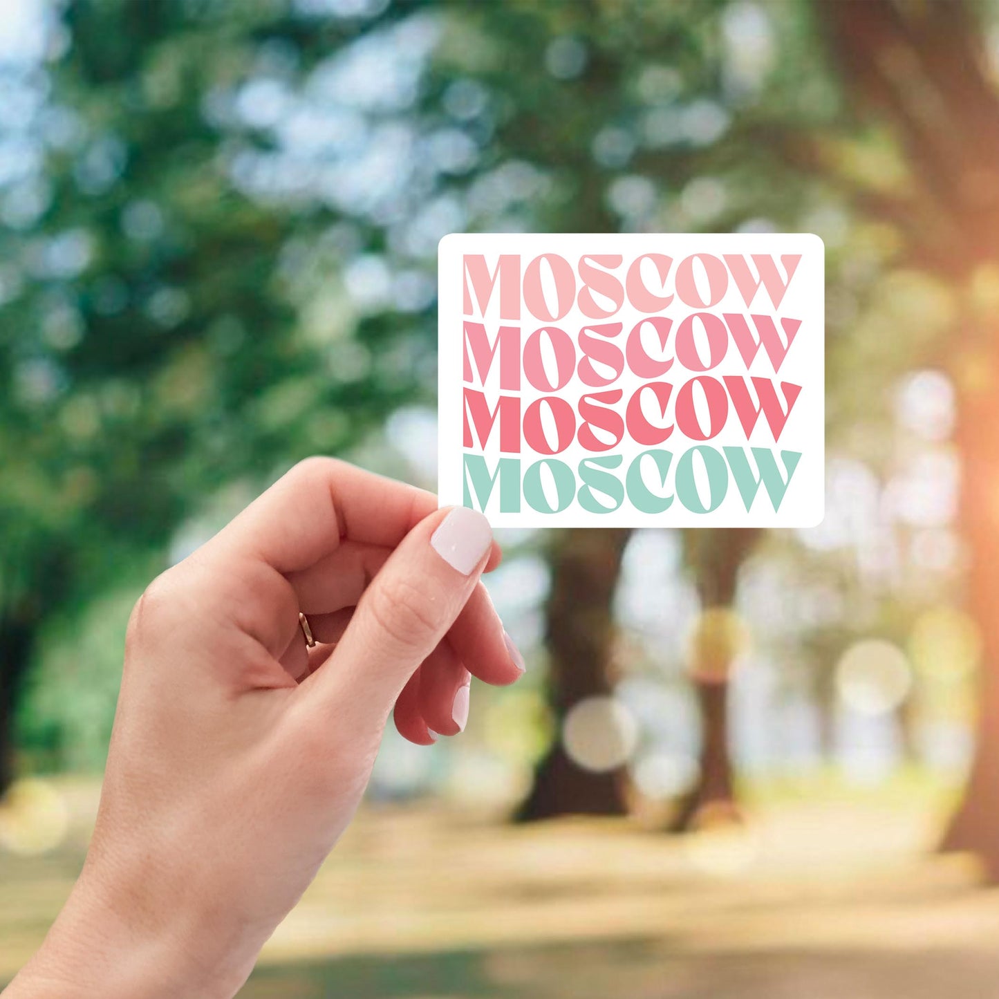 Vinyl Sticker-Retro Wave Moscow Idaho