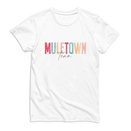 Bella Canvas T-Shirt White-Watercolor City Muletown Tenn -0