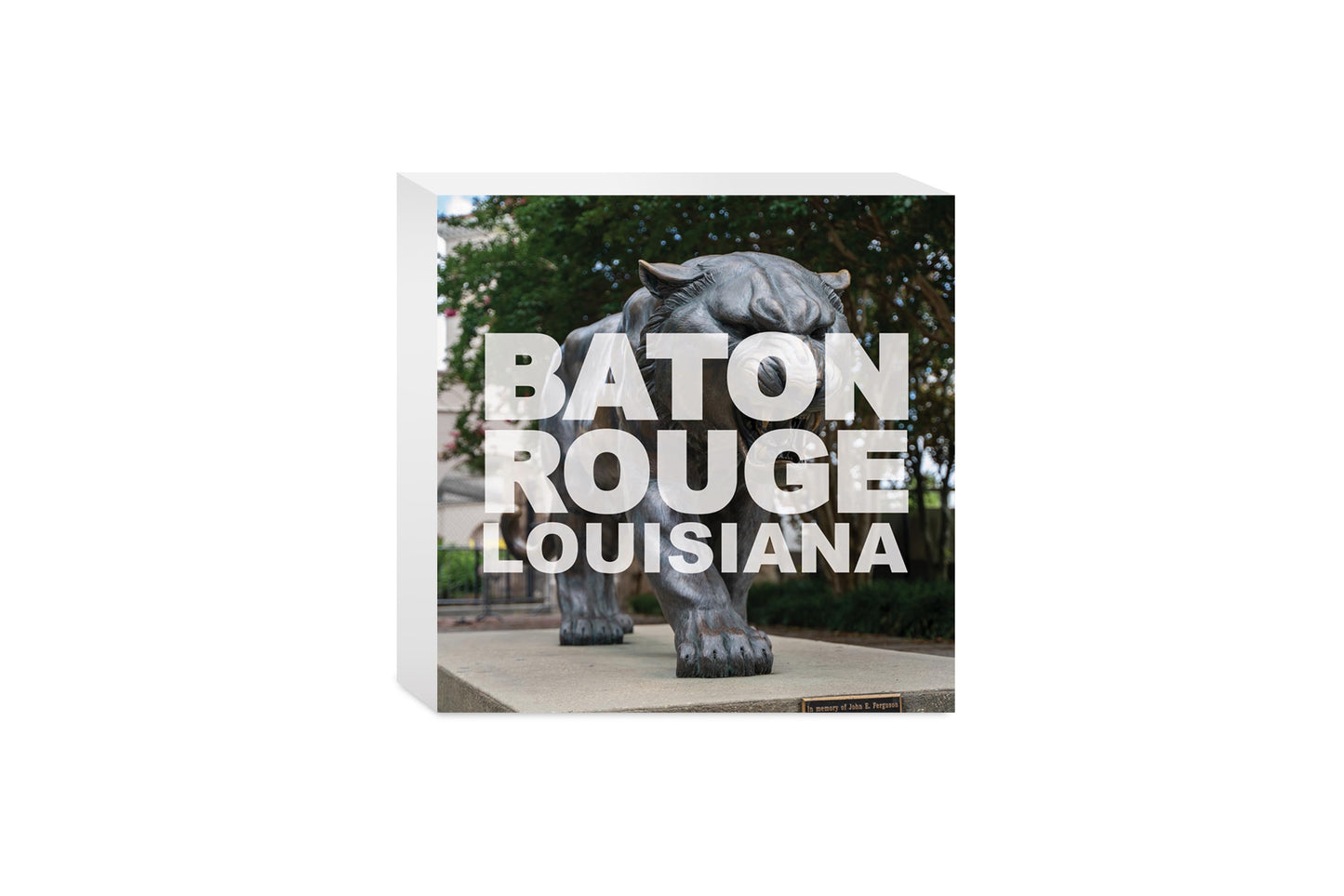 Baton Rouge Louisiana Photo | Wood Block | Eaches | Min 4