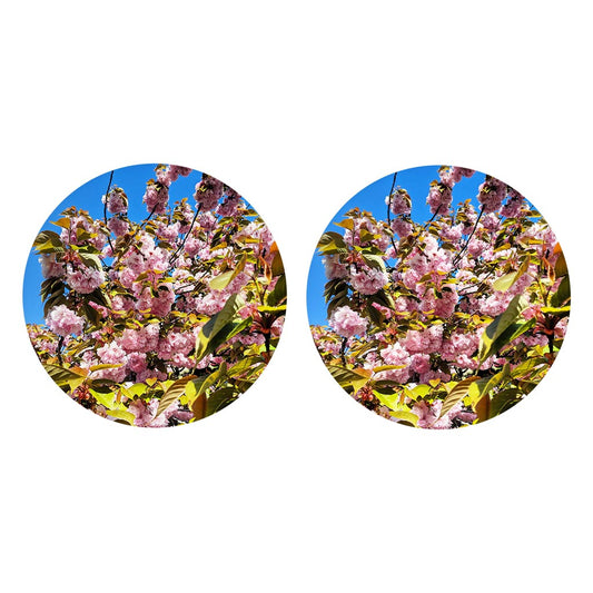 Monokian Cherry Blossoms | Absorbent Car Coasters | Set of 2 | Min 4