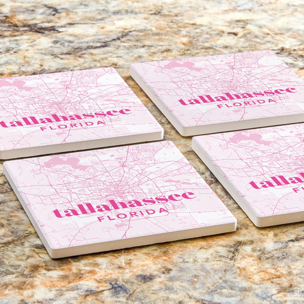 Bright Modern Pink Map Florida Tallahassee | Absorbent Coasters | Set of 4 | Min 2