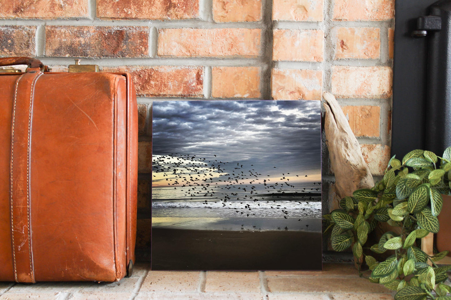 OCNJ Photo | Wood Sign | Eaches | Min 2