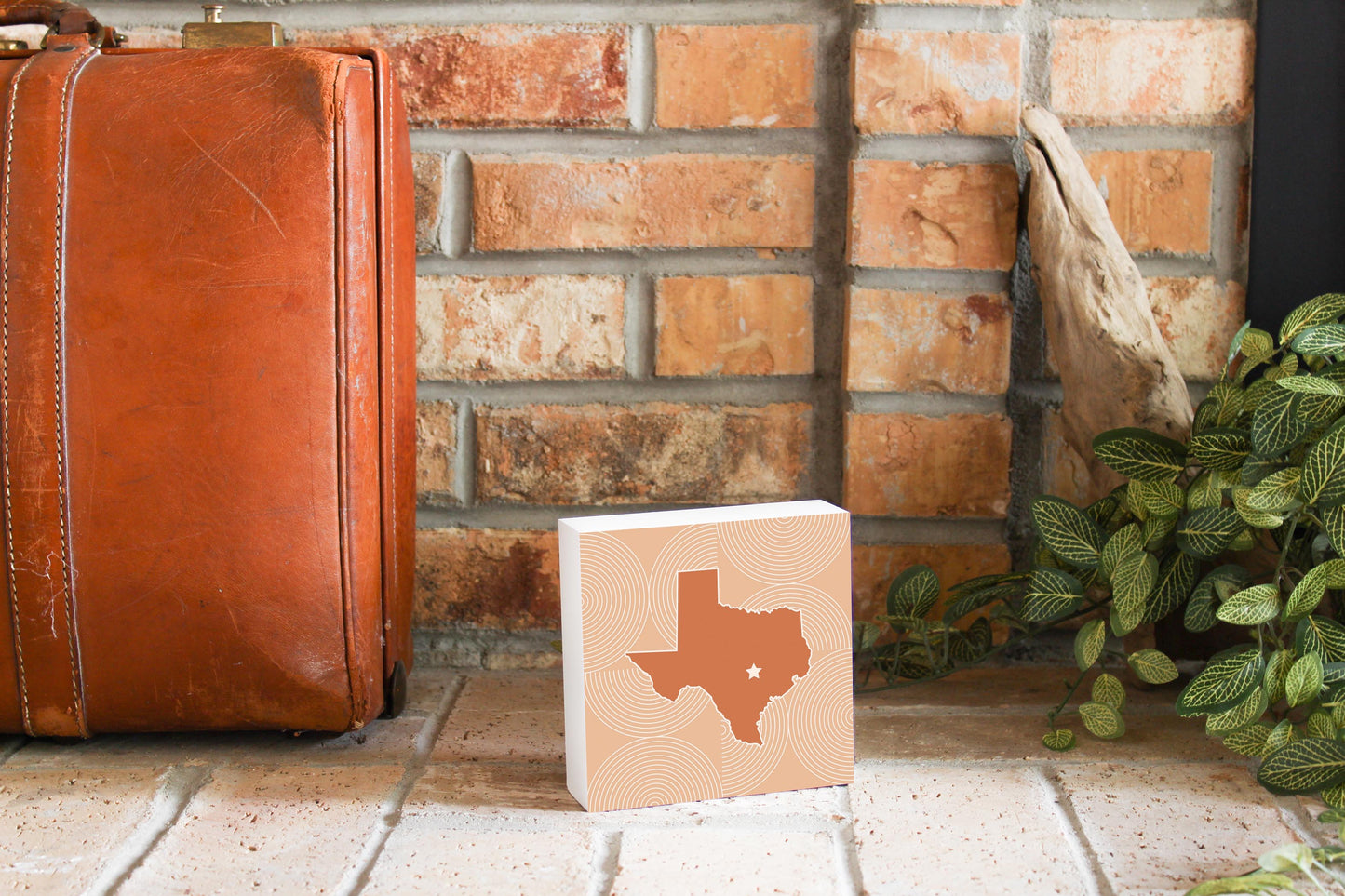 Modern Minimalist Texas Austin Star | Wood Block | Eaches | Min 4