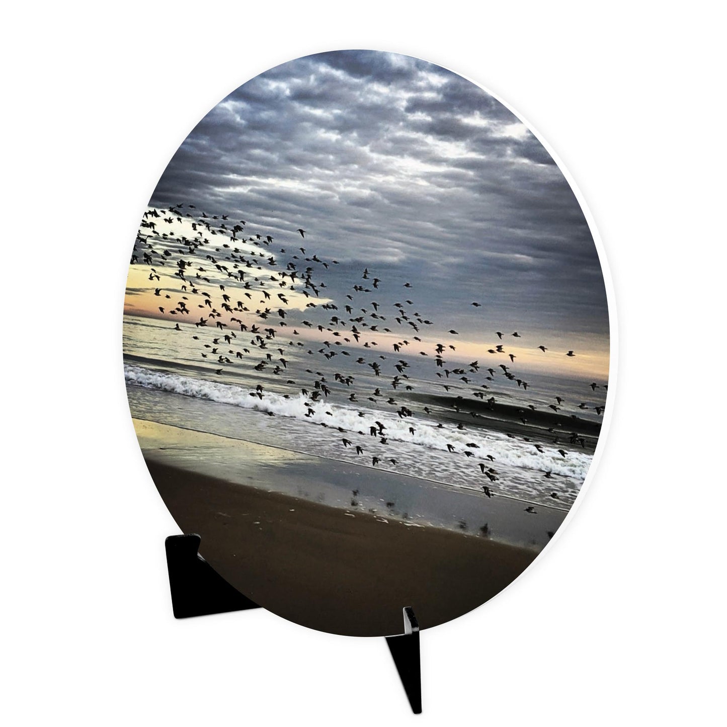 OCNJ Photo | Wood Sign | Eaches | Min 1