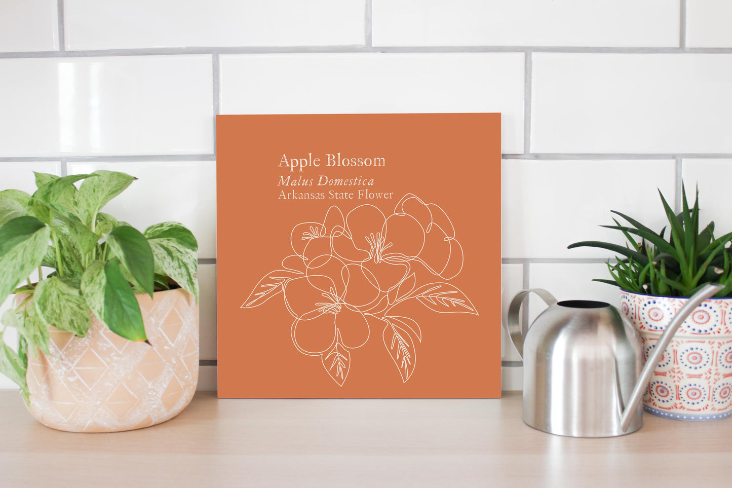 Modern Minimalist Arkansas Single Line Apple Blossoms | Wood Sign | Eaches | Min 2