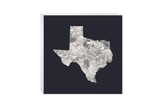Modern Minimalist Texas Metal State Shape | Wood Block | Eaches | Min 2