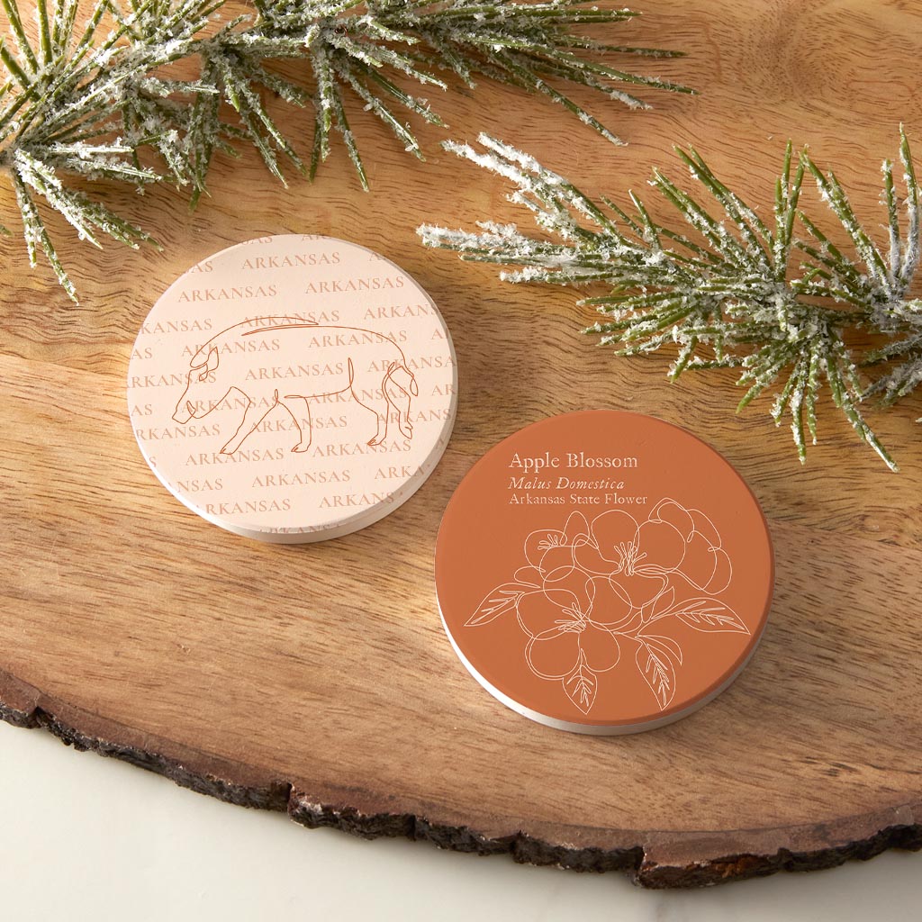 Modern Minimalist Arkansas Hog Flower| Absorbent Car Coasters | Set of 2 | Min 4