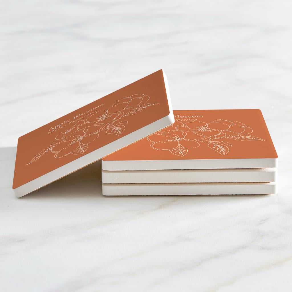 Modern Minimalist Arkansas Single Line Apple Blossoms | Absorbent Coasters | Set of 4 | Min 2