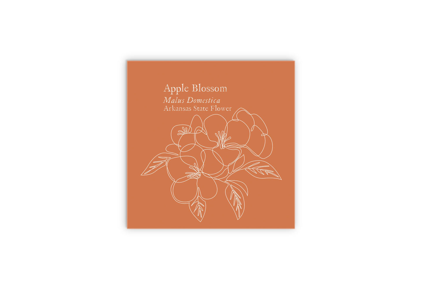 Modern Minimalist Arkansas Single Line Apple Blossoms | Wood Sign | Eaches | Min 2