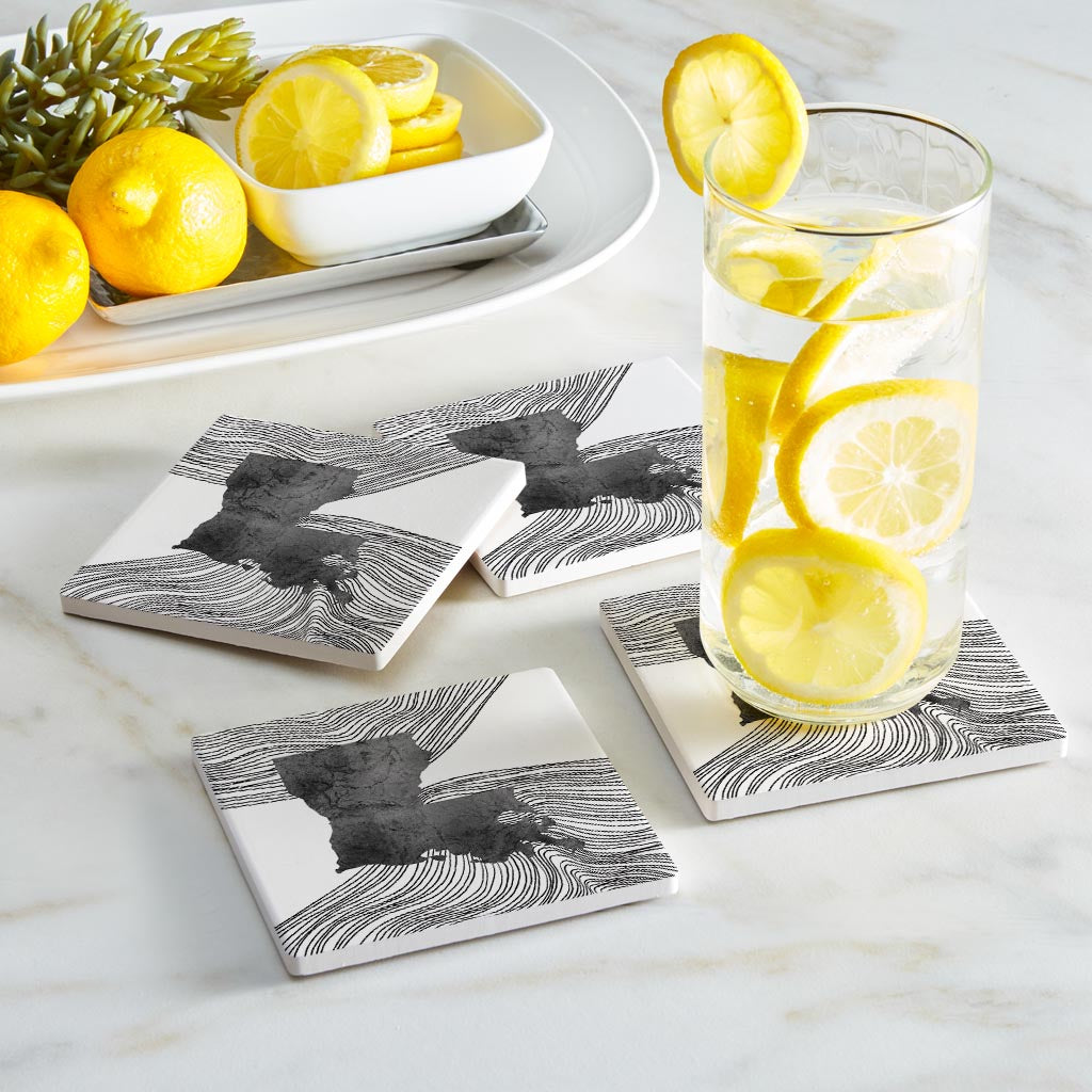 Modern Louisiana State Shape With Fluid Lines | Absorbent Coasters | Set of 4 | Min 2