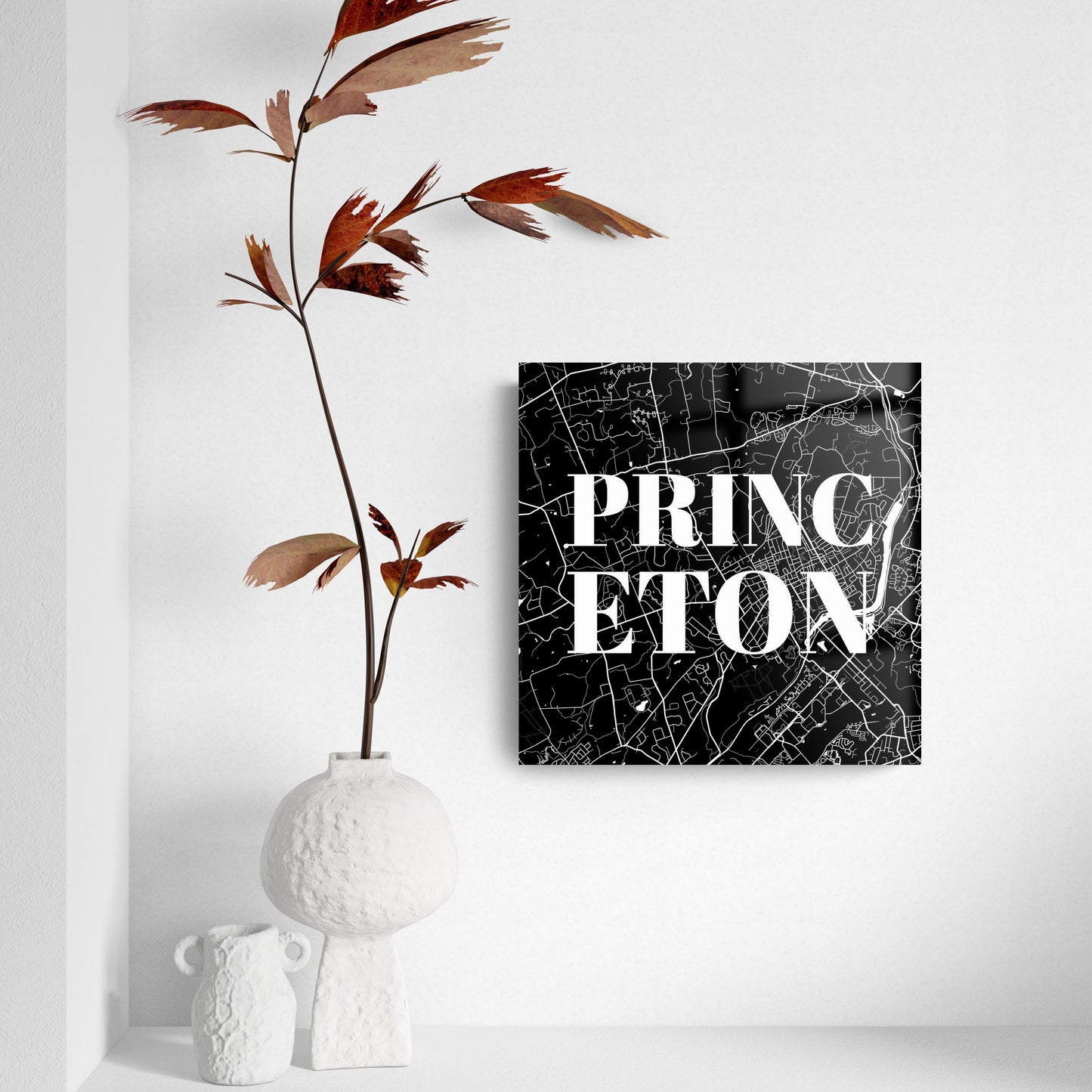 Minimalistic B&W New Jersey Princeton Map | Hi-Def Glass Art | Eaches | Min 2