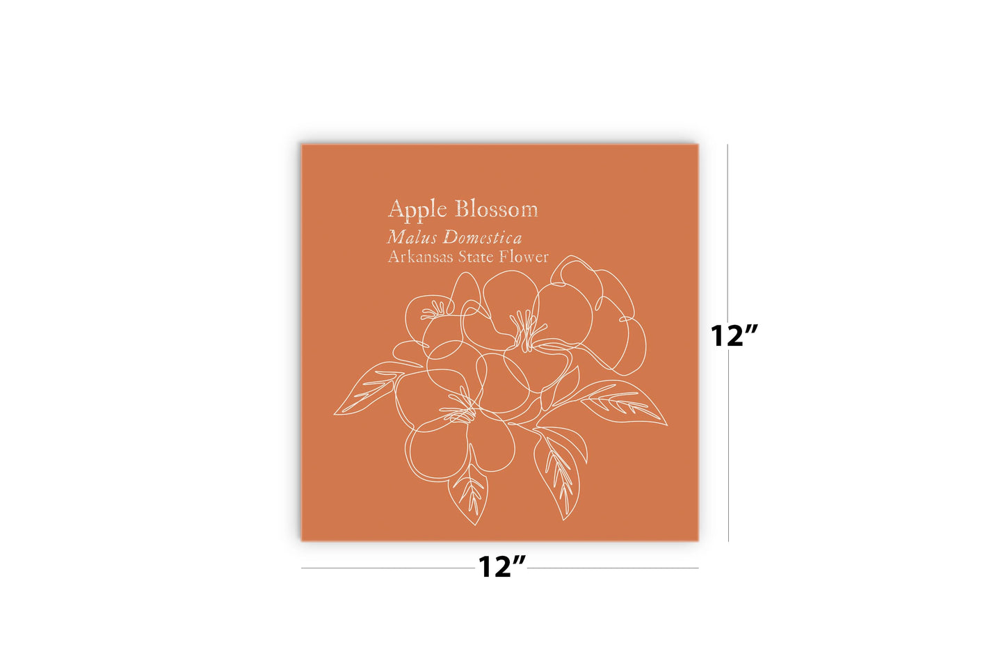Modern Minimalist Arkansas Single Line Apple Blossoms | Wood Sign | Eaches | Min 2
