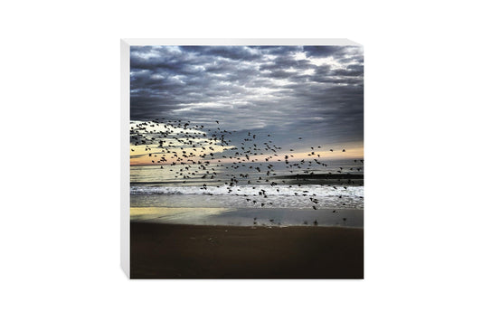 OCNJ Photo | Wood Block | Eaches | Min 2