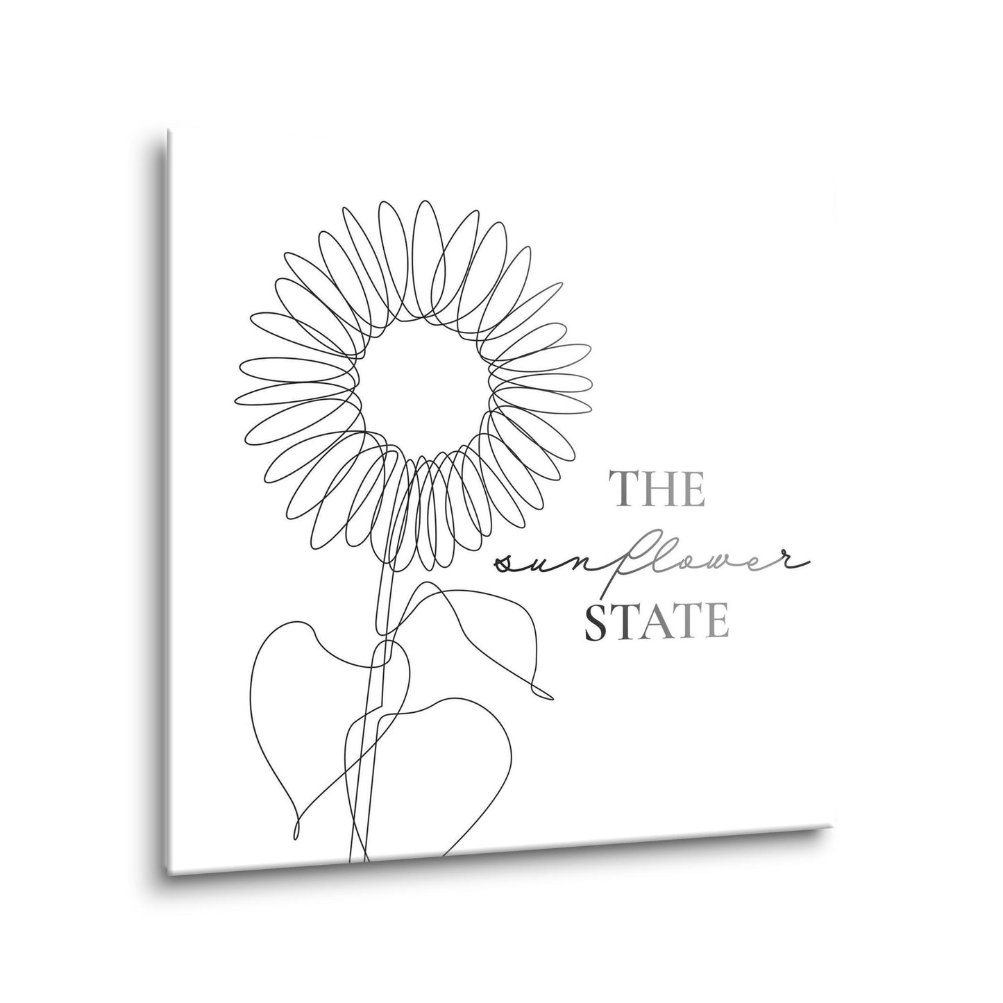 Minimalist B&W Kansas Sunflower Line Drawing | Hi-Def Glass Art | Eaches | Min 1