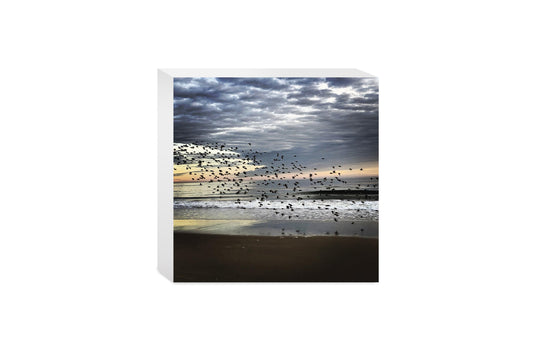 OCNJ Photo | Wood Block | Eaches | Min 4