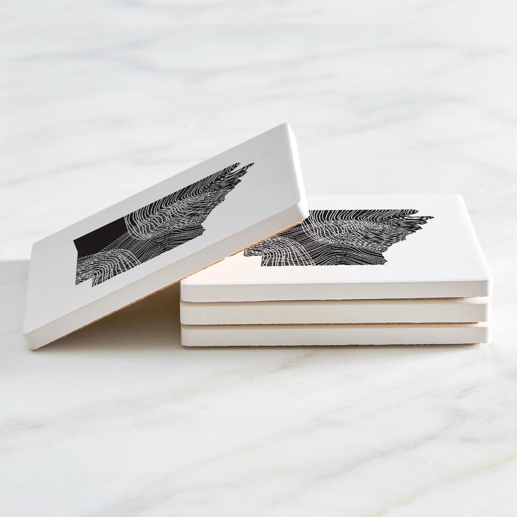 B&W Minimalist Arkansas Fluid Lines | Absorbent Coasters | Set of 4 | Min 2