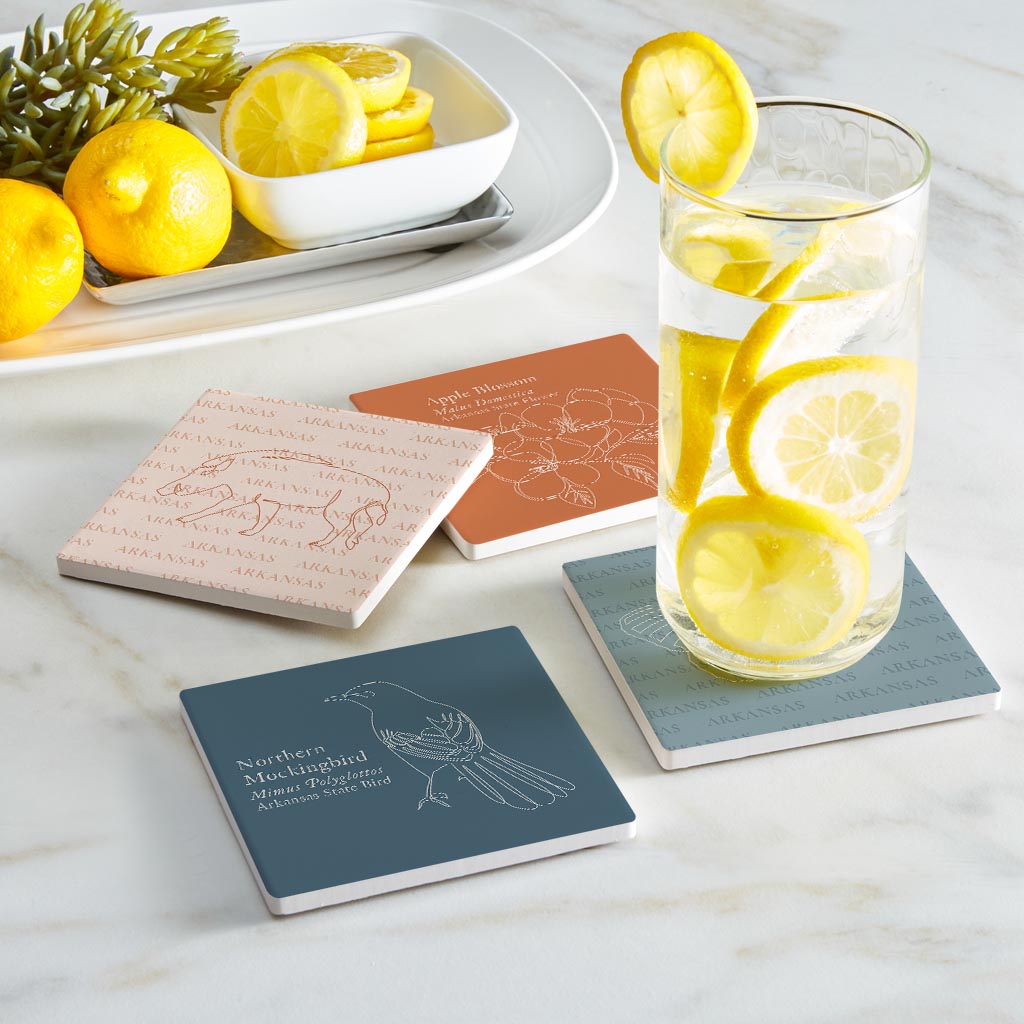 Modern Minimalist Arkansas Animal Line Drawings | Absorbent Coasters | Set of 4 | Min 2