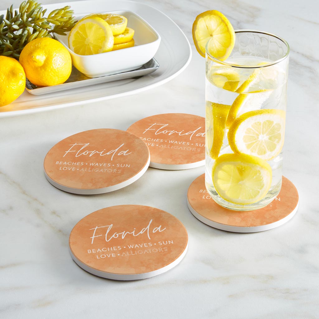 Florida Meanings Orange| Absorbent Coasters | Set of 4 | Min 2